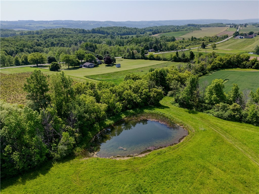 0 Townline Road Middlesex, NY 14507 - Photo 21 of 28