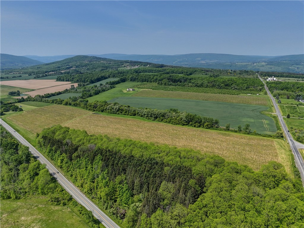 0 Townline Road Middlesex, NY 14507 - Photo 26 of 28