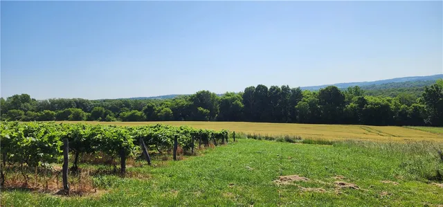 $950,000 | 0 Townline Road, Middlesex, NY 14507