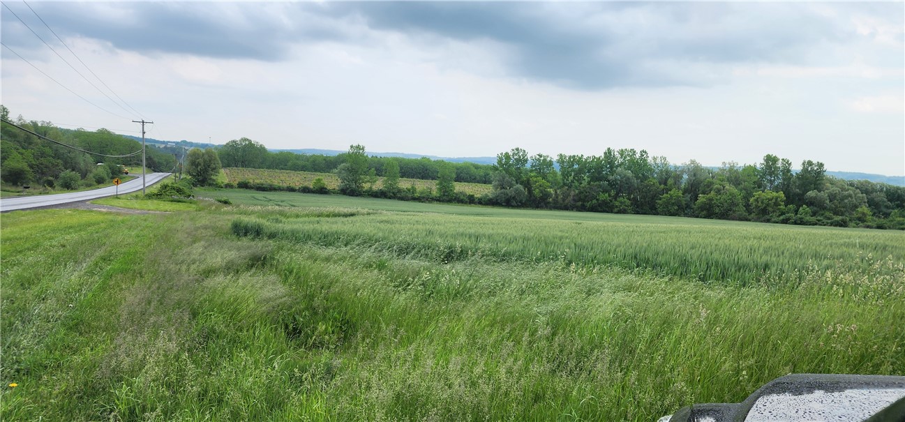 0 Townline Road Middlesex, NY 14507 - Photo 6 of 28