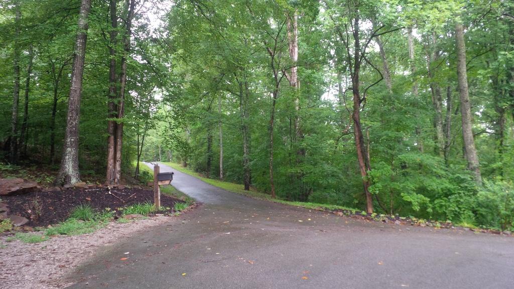 Upper corner of property