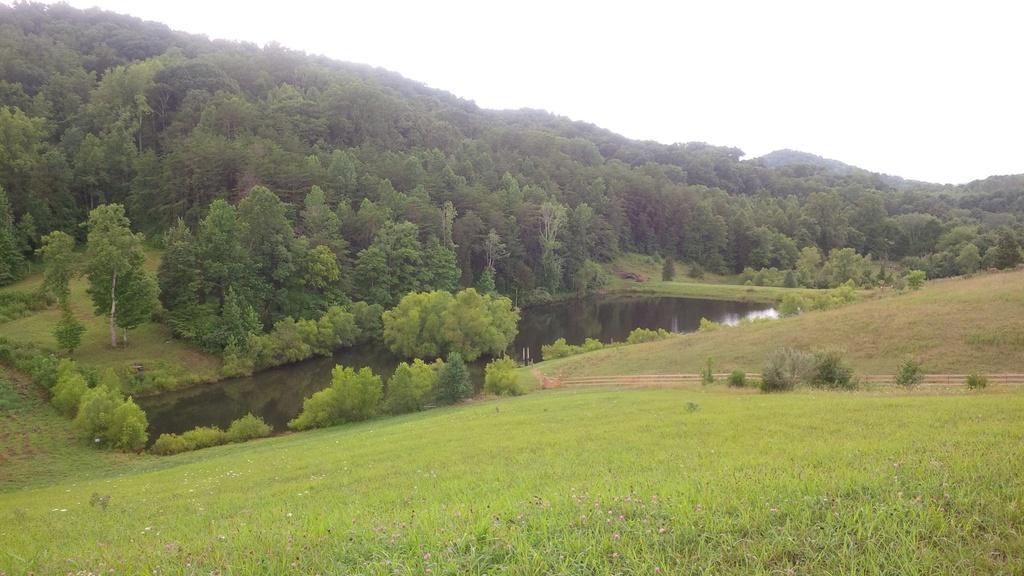 191 Lost Ridge Road Clinton, TN 37716 - Photo 2 of 5 Pond view