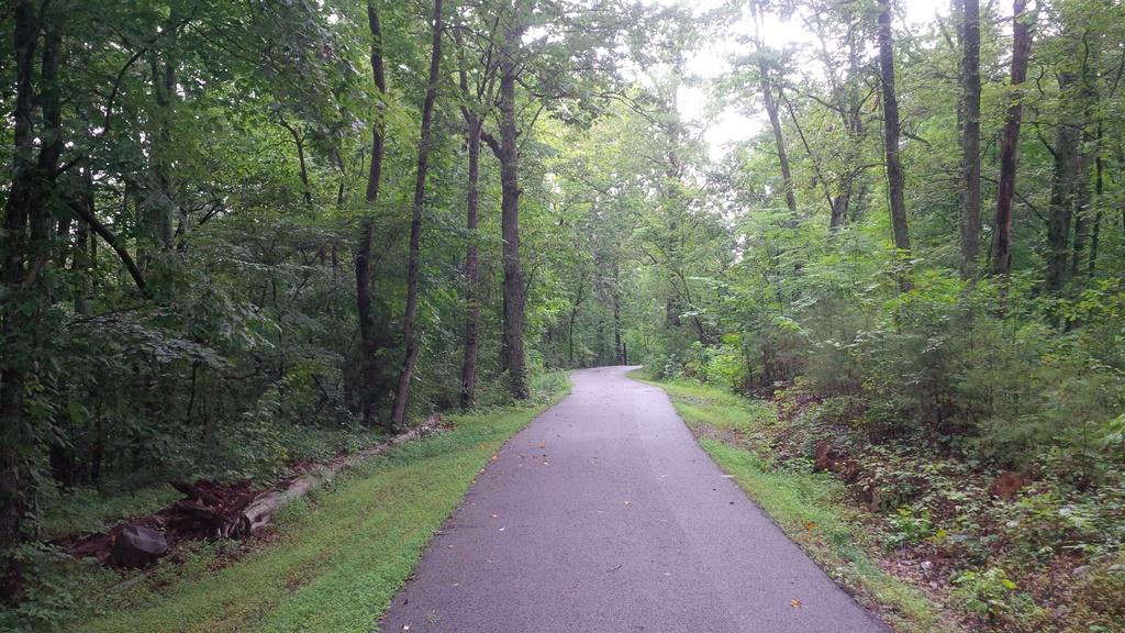 191 Lost Ridge Road Clinton, TN 37716 - Photo 3 of 5 Driveway access view