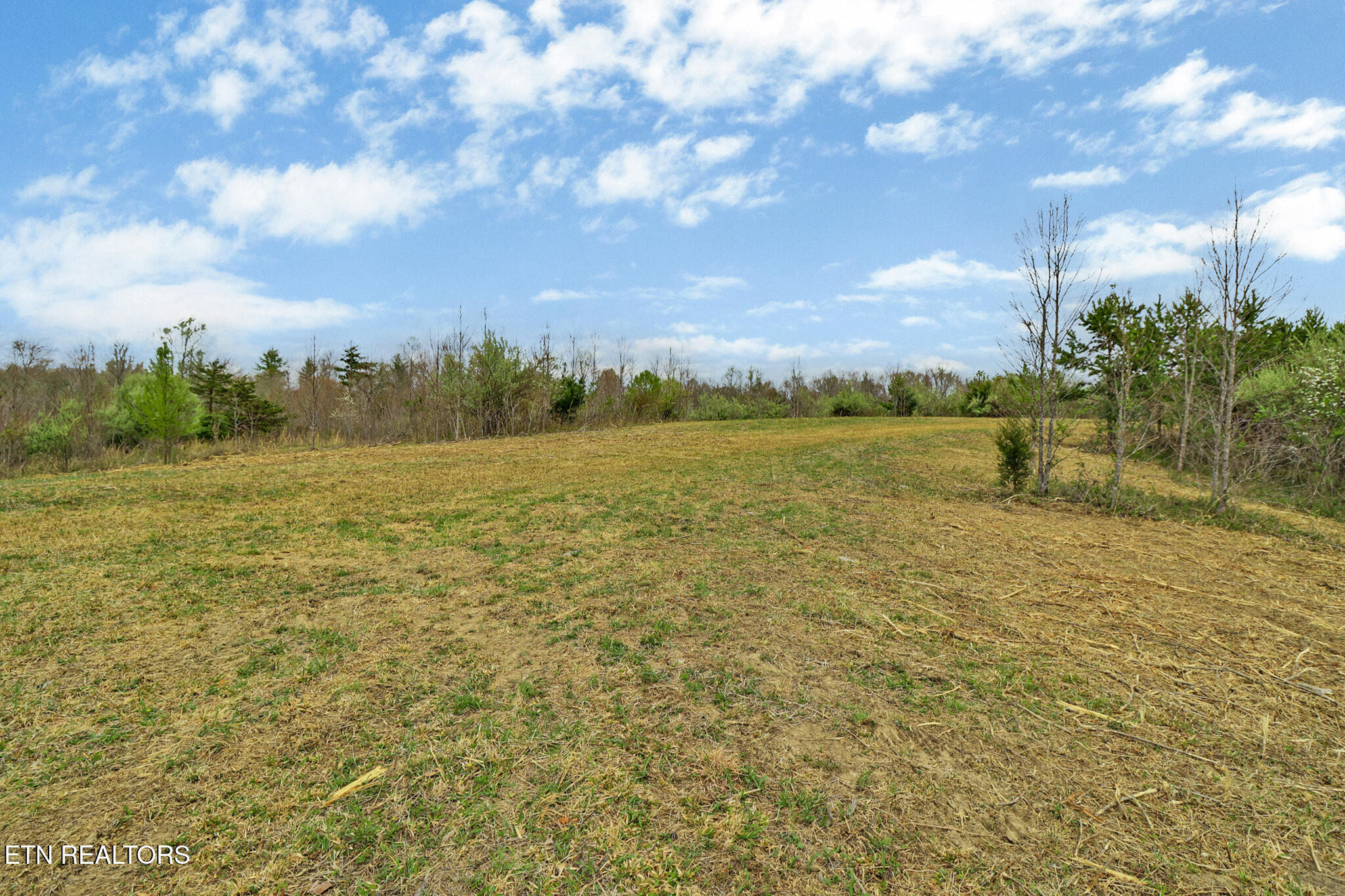 0 Grassy Knob Road Robbins, TN 37852 - Photo 11 of 26 1000050697