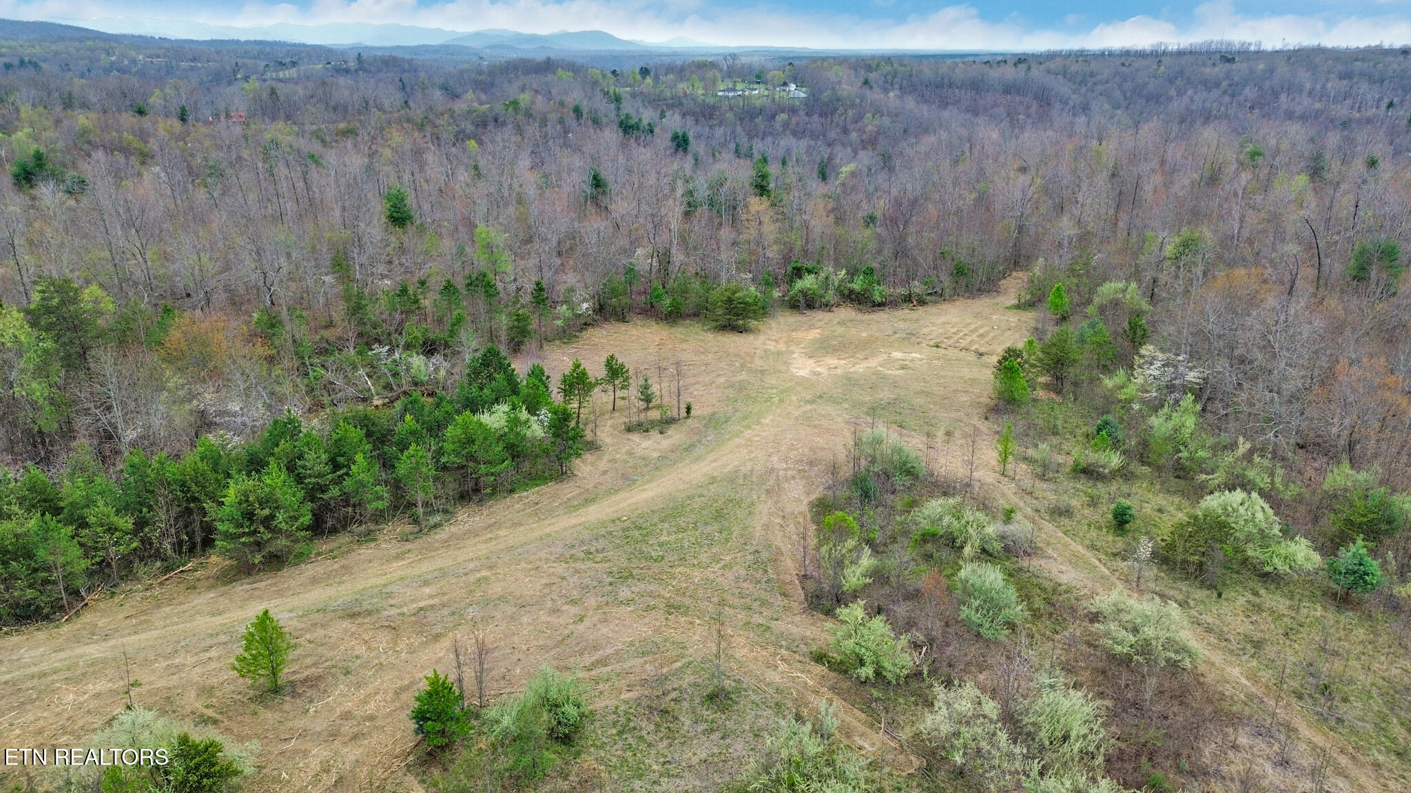 0 Grassy Knob Road Robbins, TN 37852 - Photo 12 of 26 1000050703
