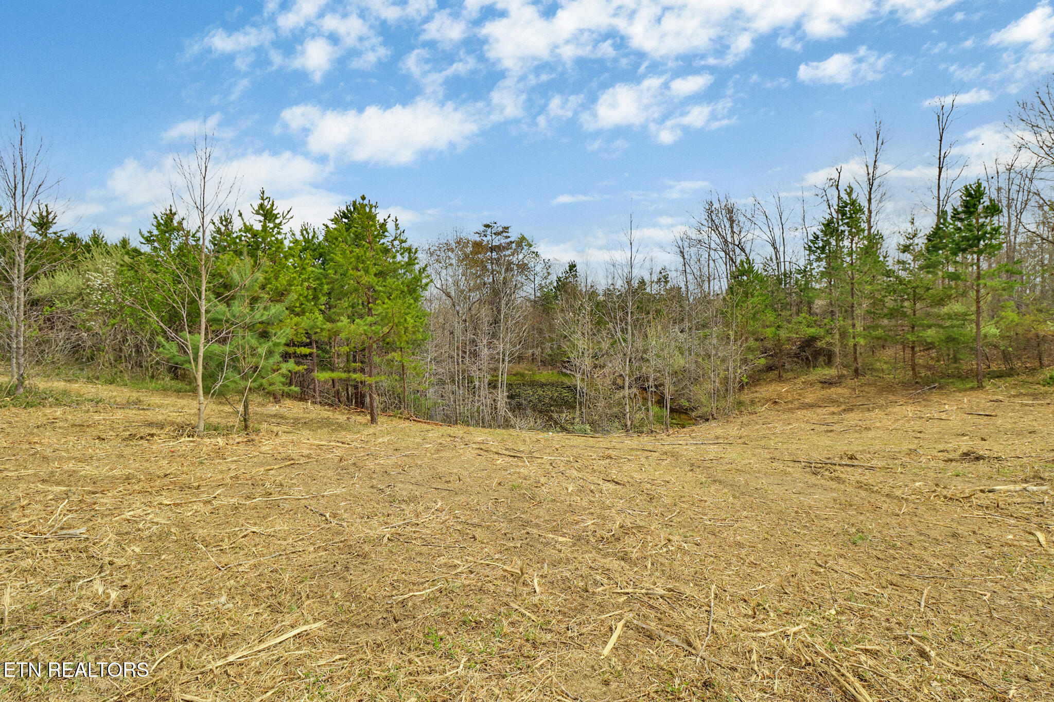 0 Grassy Knob Road Robbins, TN 37852 - Photo 13 of 26 1000050679