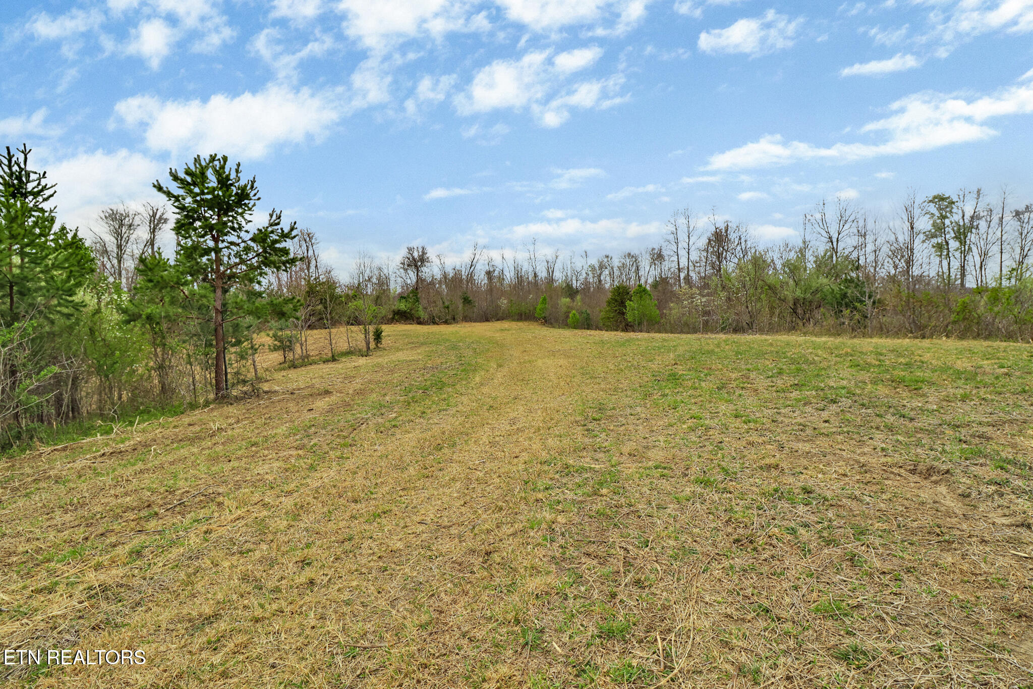 0 Grassy Knob Road Robbins, TN 37852 - Photo 15 of 26 1000050686