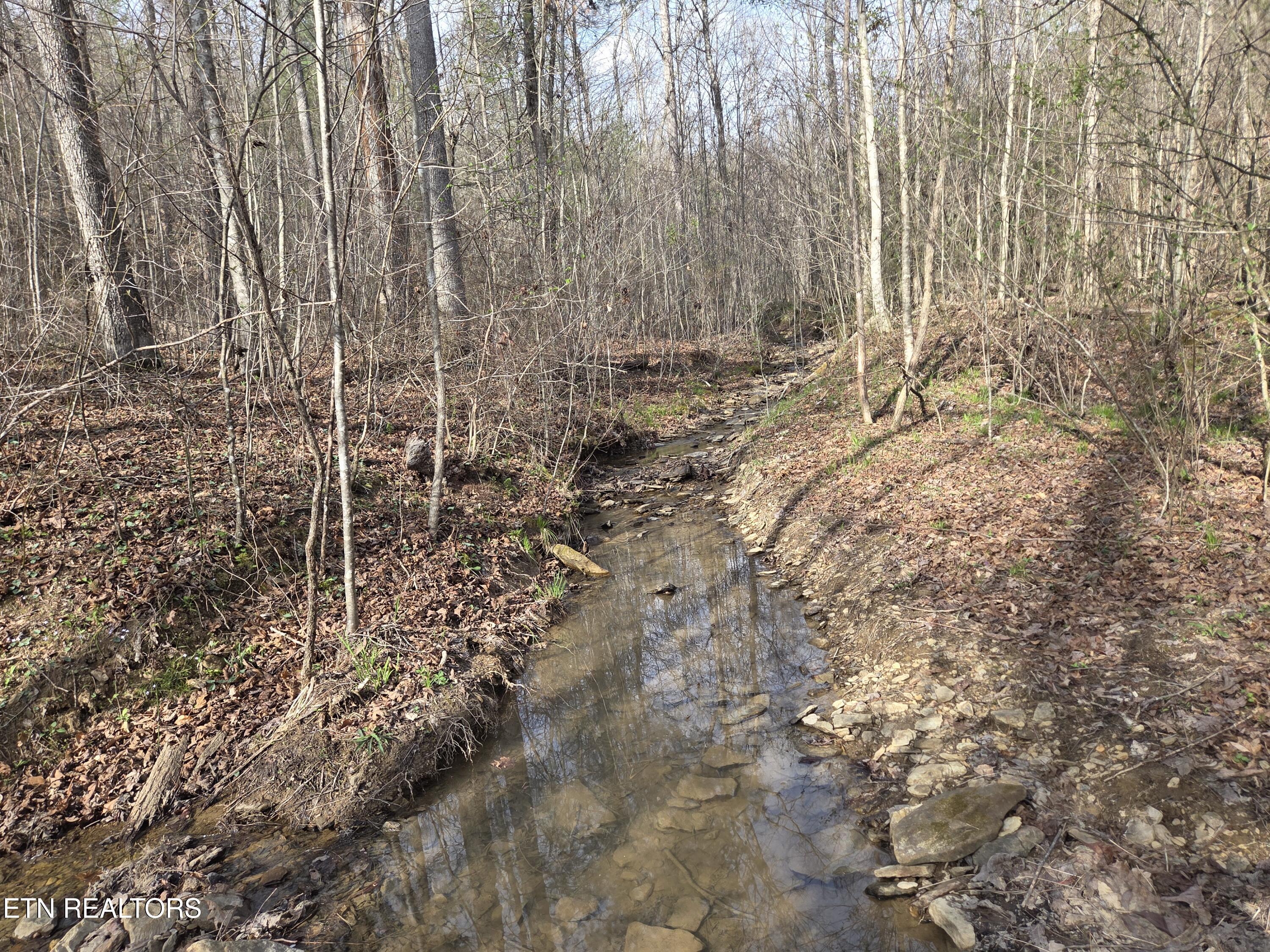 0 Grassy Knob Road Robbins, TN 37852 - Photo 18 of 26 1000050727