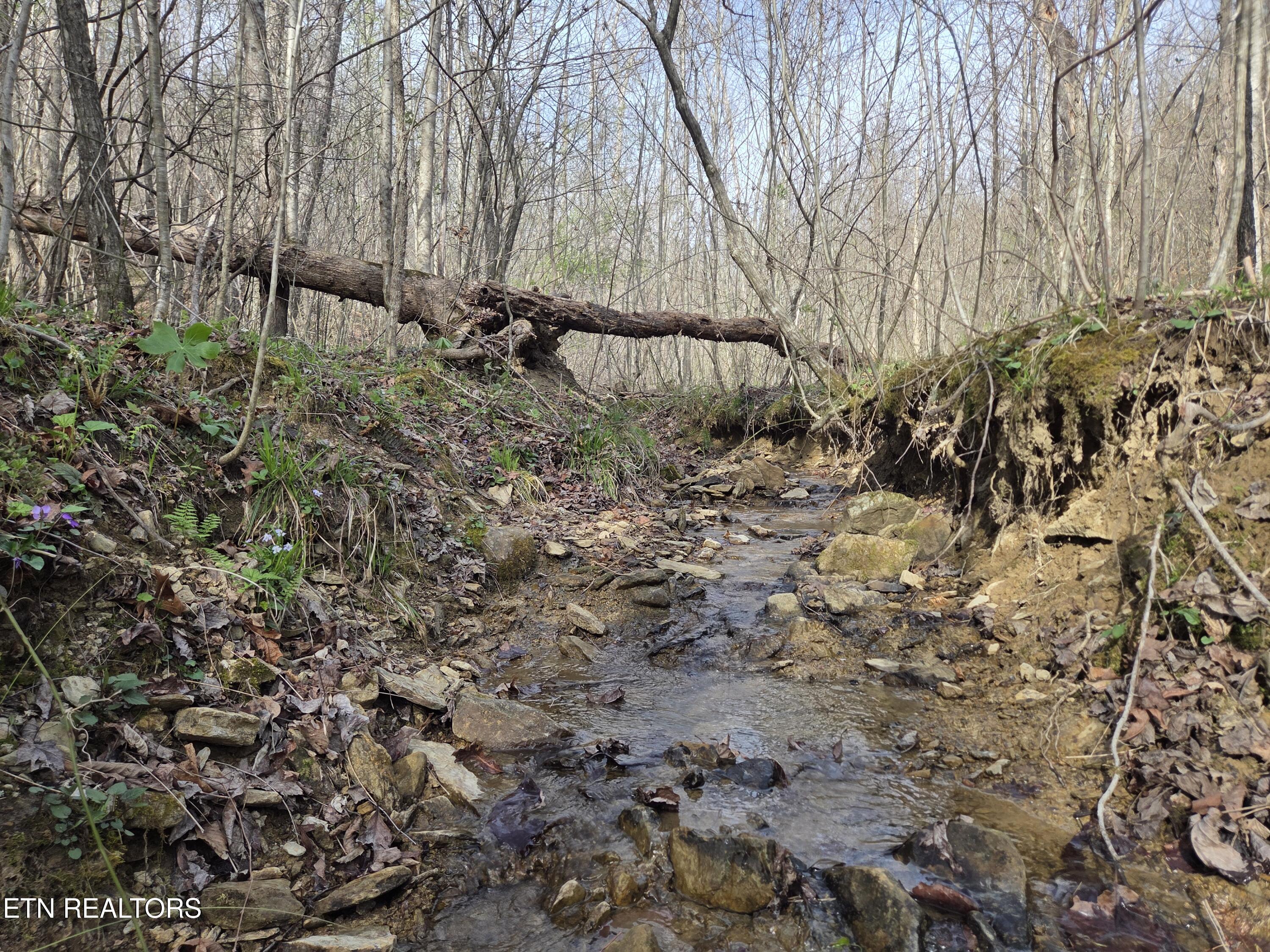 0 Grassy Knob Road Robbins, TN 37852 - Photo 20 of 26 1000050720