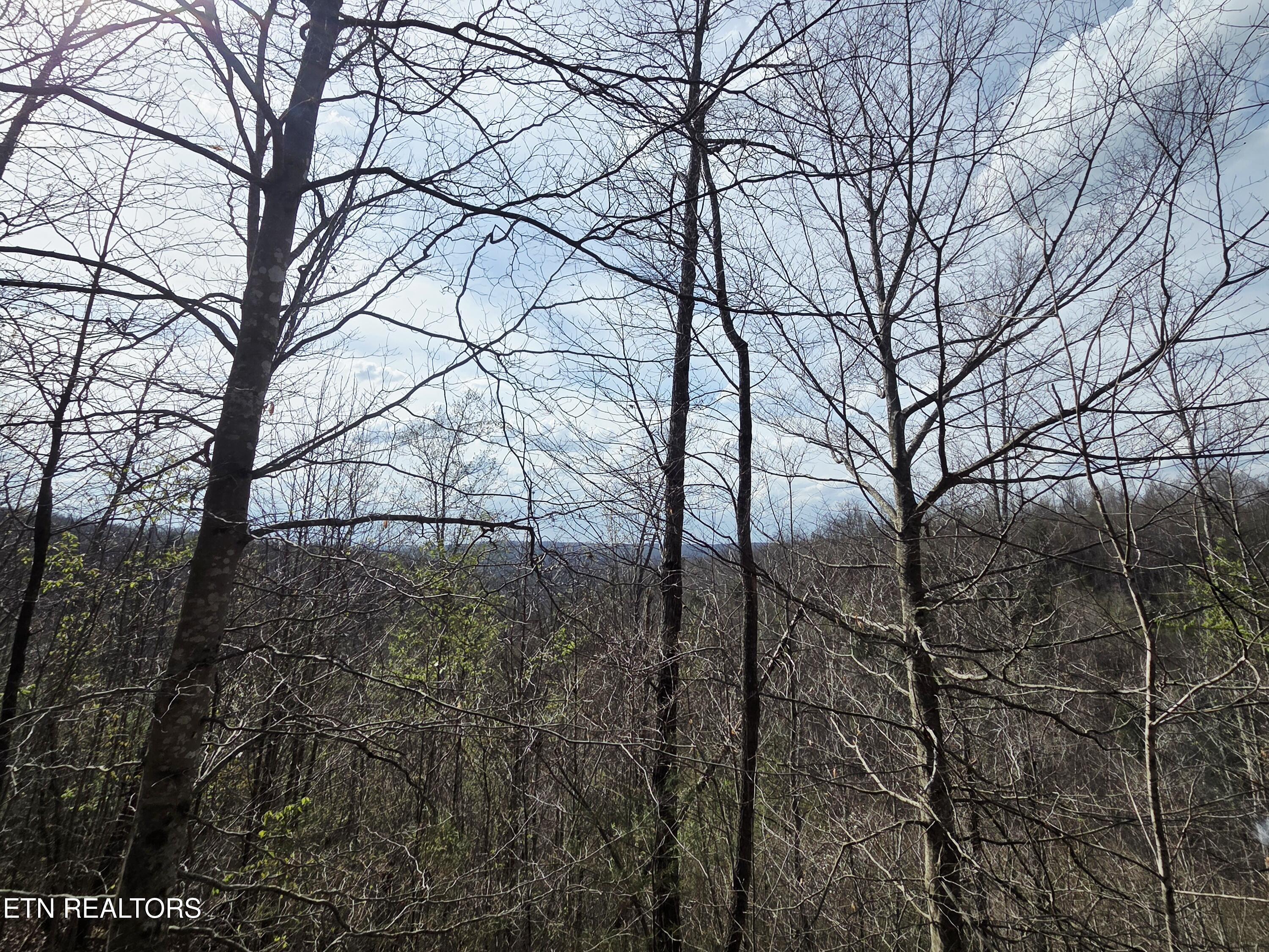 0 Grassy Knob Road Robbins, TN 37852 - Photo 23 of 26 1000050710