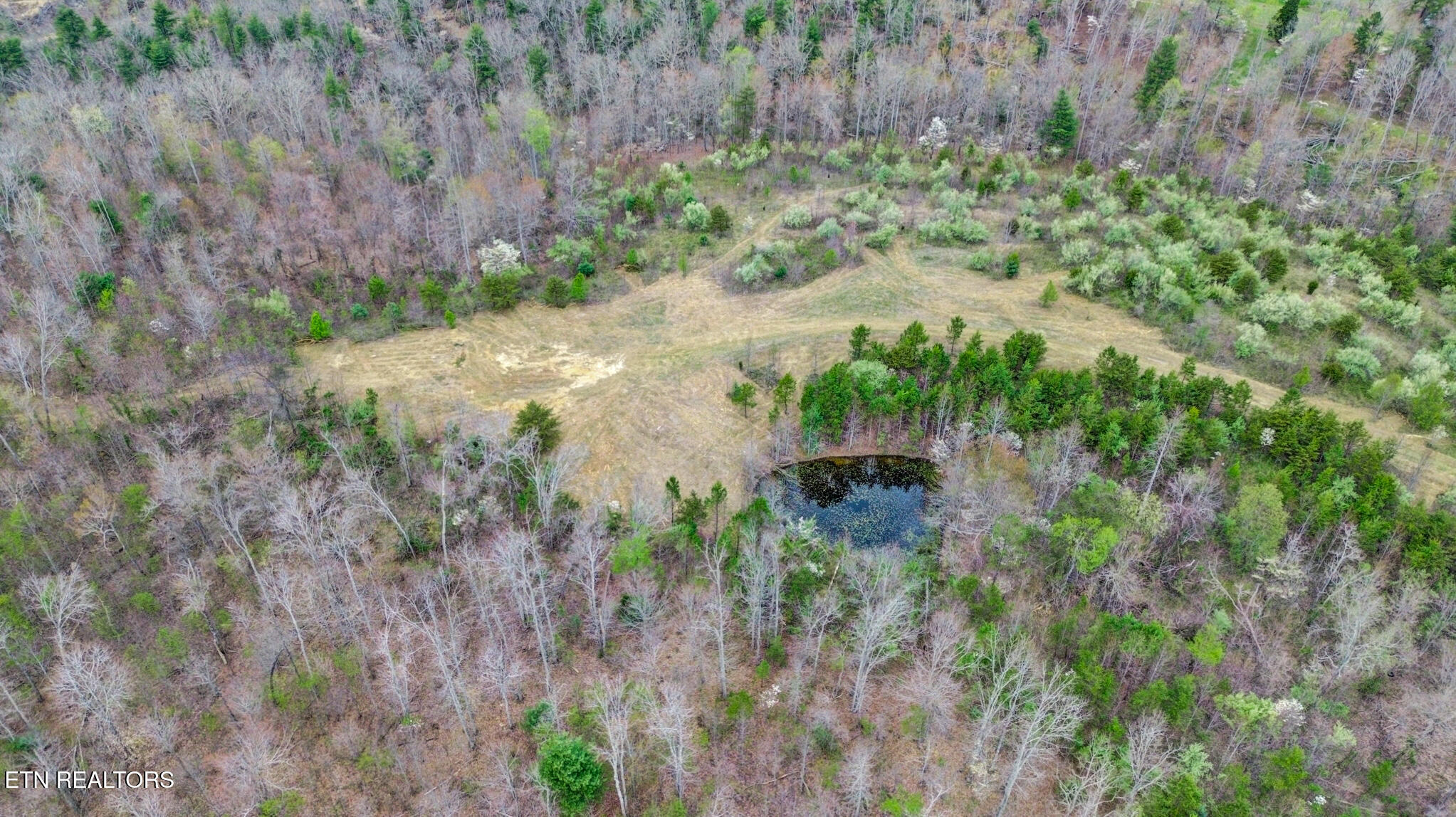 0 Grassy Knob Road Robbins, TN 37852 - Photo 4 of 26 1000050692