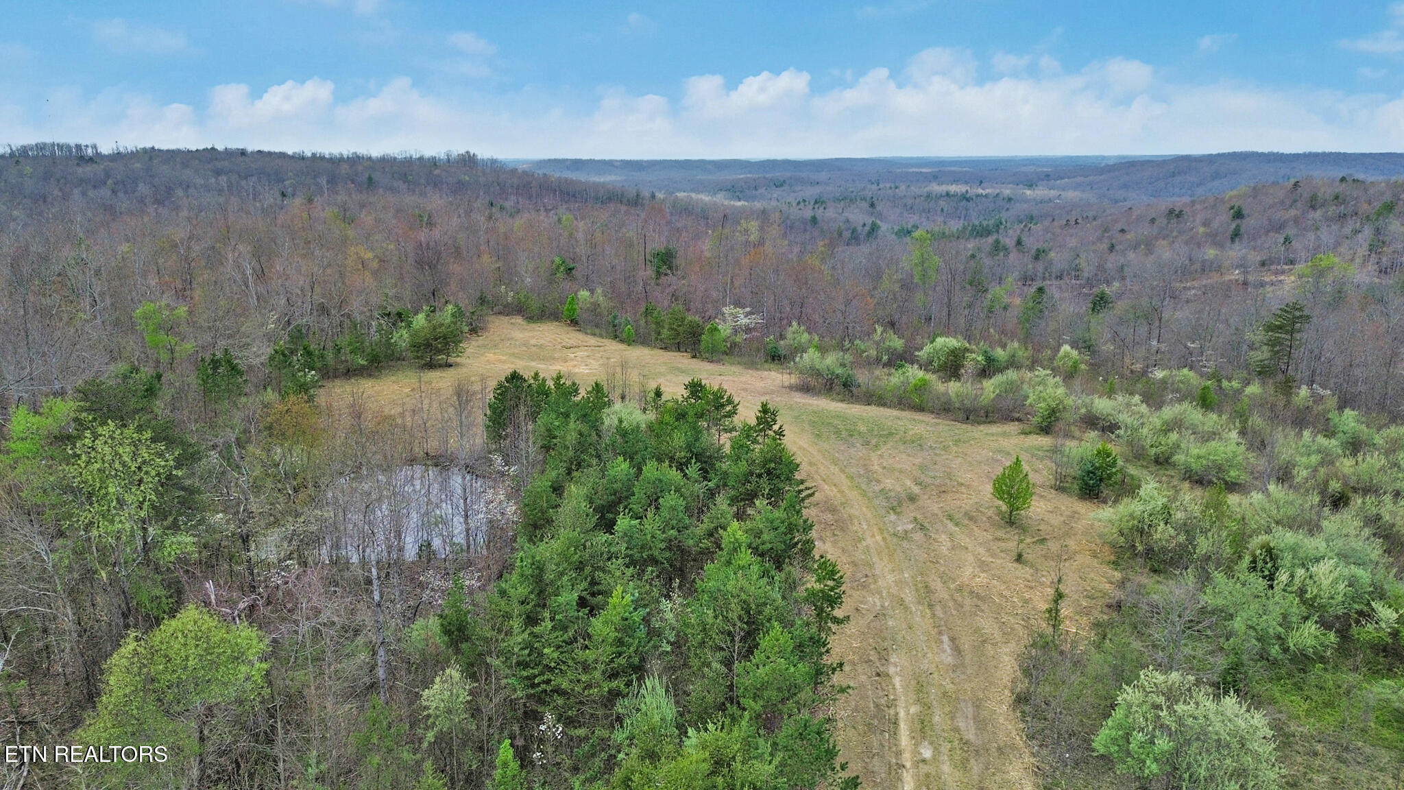 0 Grassy Knob Road Robbins, TN 37852 - Photo 5 of 26 1000050707