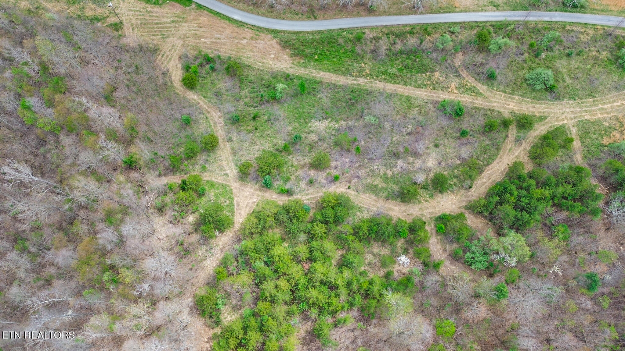 0 Grassy Knob Road Robbins, TN 37852 - Photo 6 of 26 1000050704