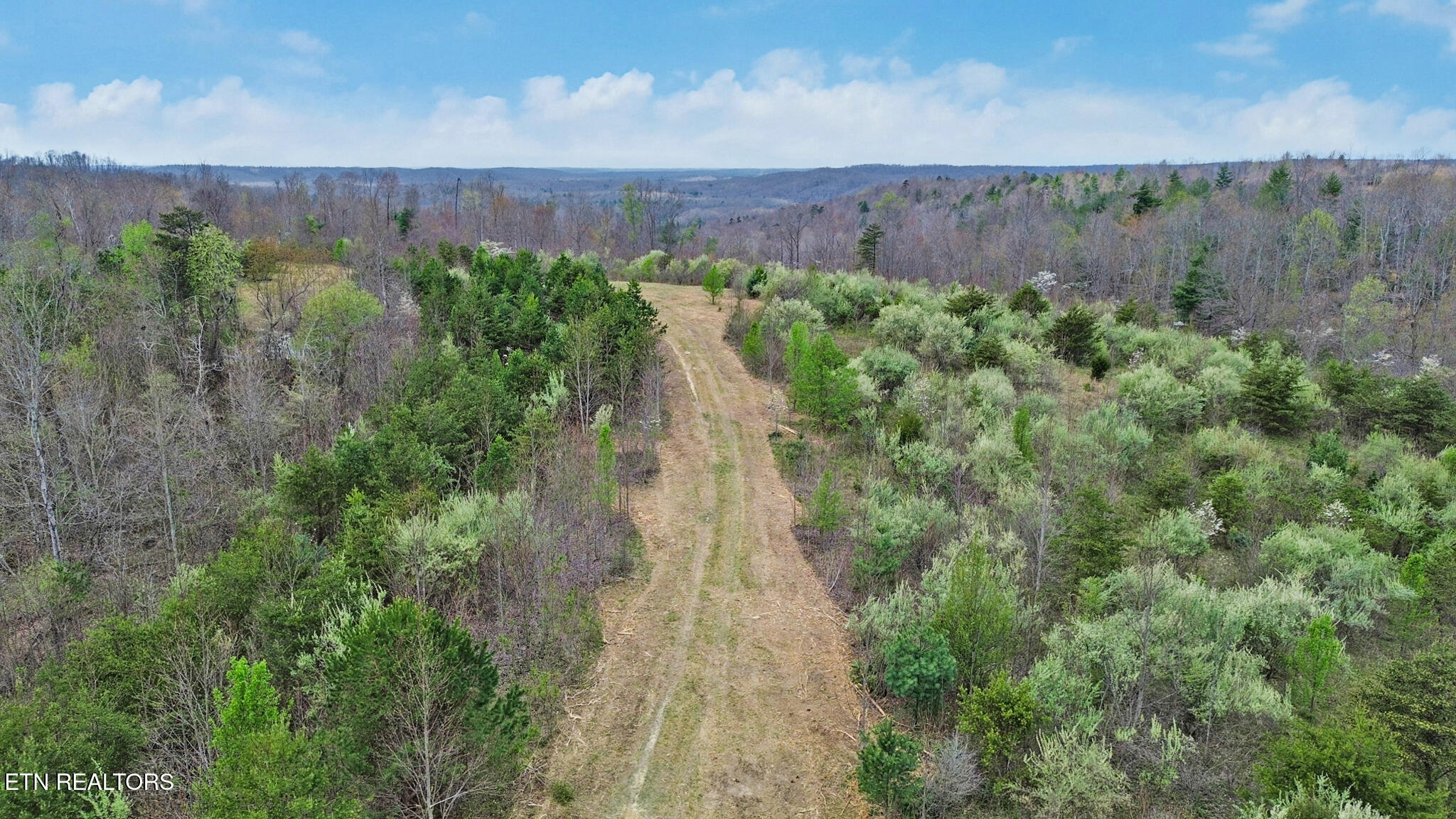 0 Grassy Knob Road Robbins, TN 37852 - Photo 7 of 26 1000050700
