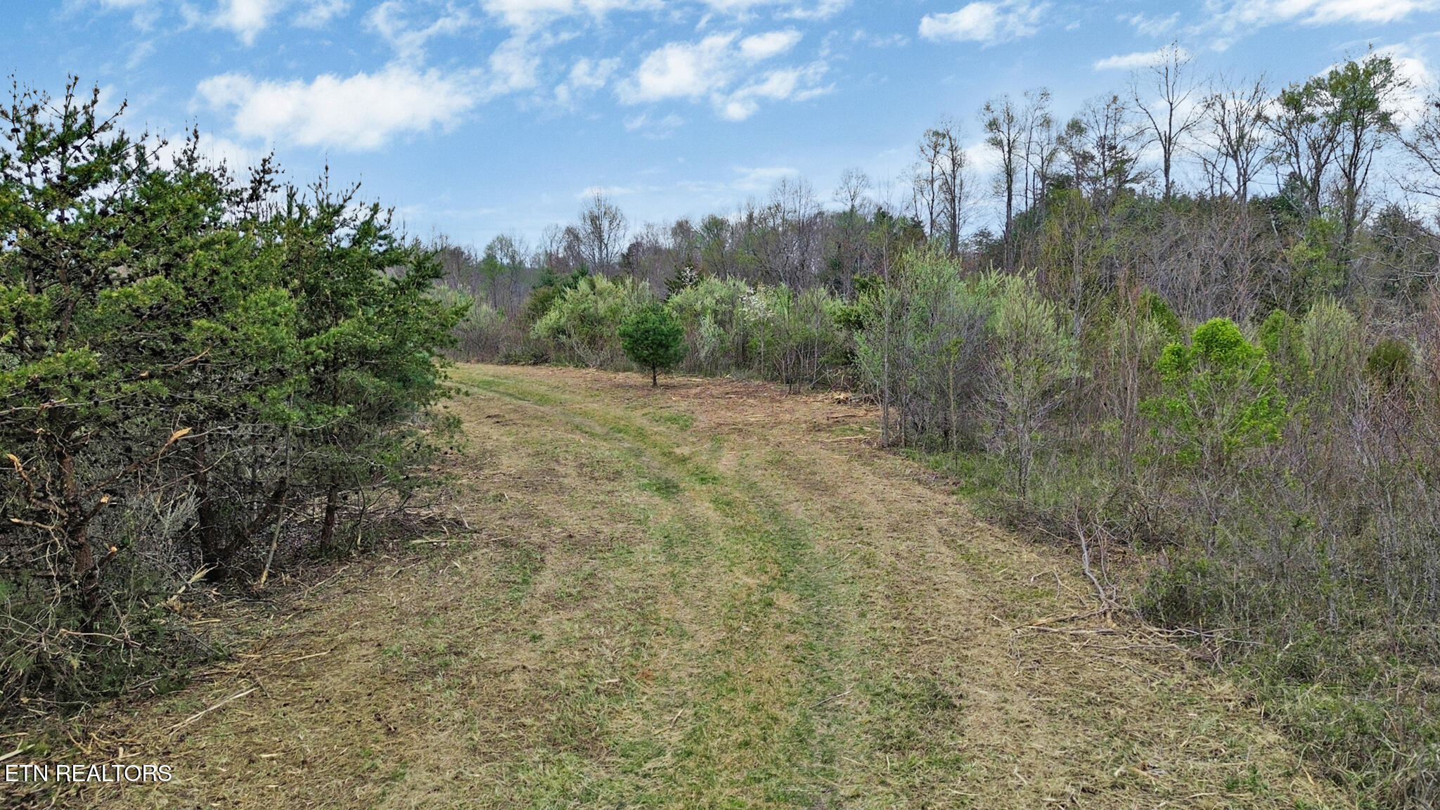 0 Grassy Knob Road Robbins, TN 37852 - Photo 8 of 26 1000050688