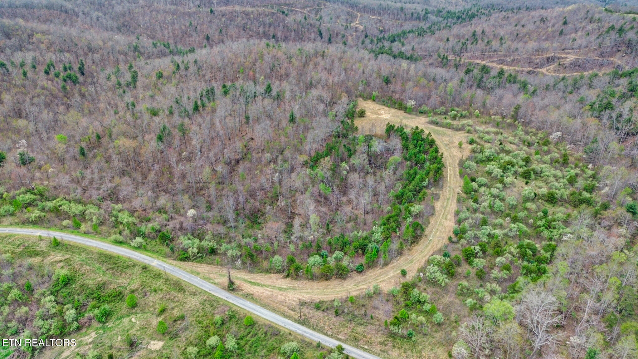 0 Grassy Knob Road Robbins, TN 37852 - Photo 10 of 26 1000050698