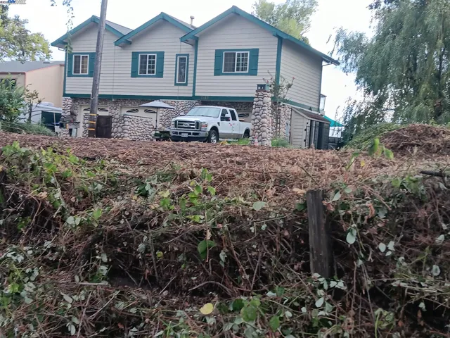 a view of a dry yard with trees