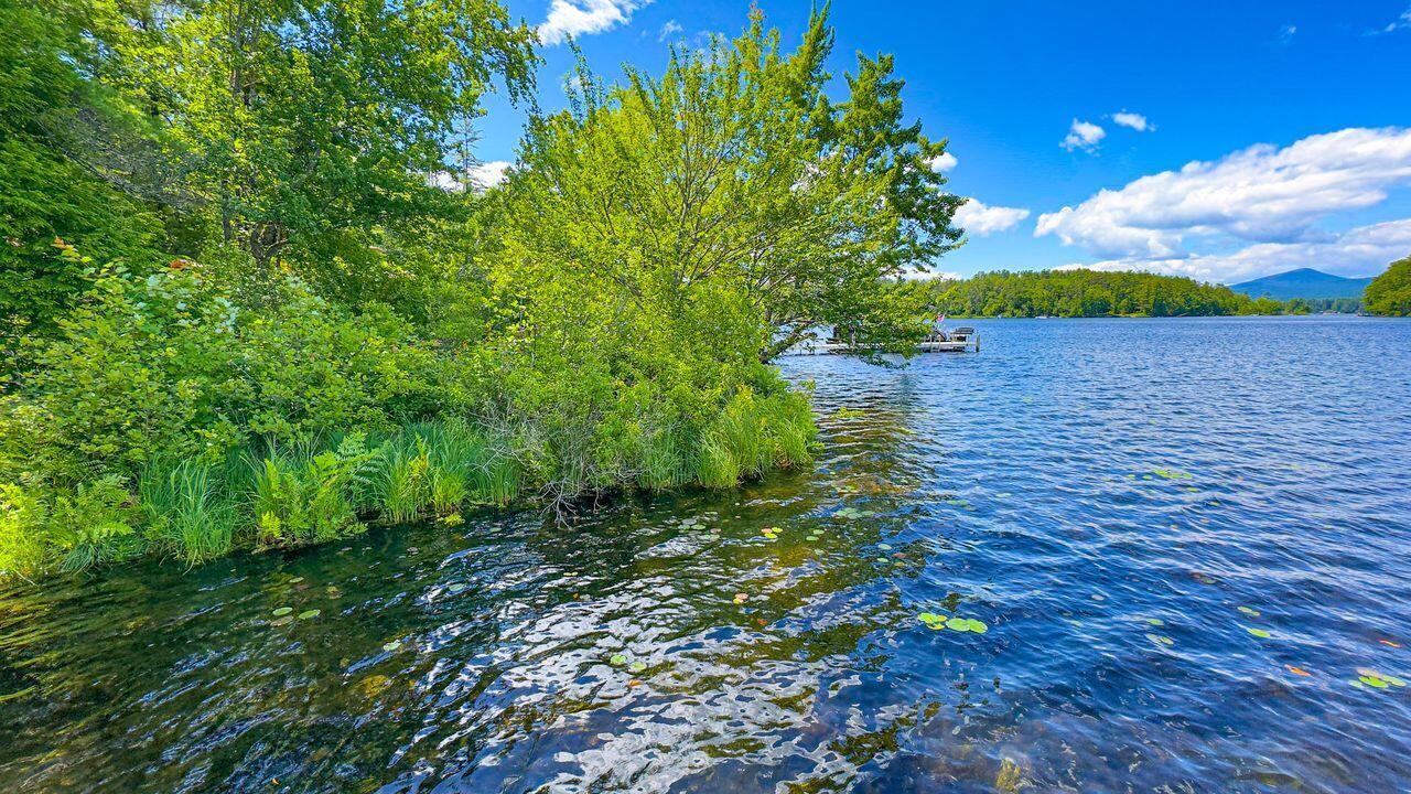 27 Peterson Camp Road Lovell, ME 04051 - Photo 4 of 11 shoreline
