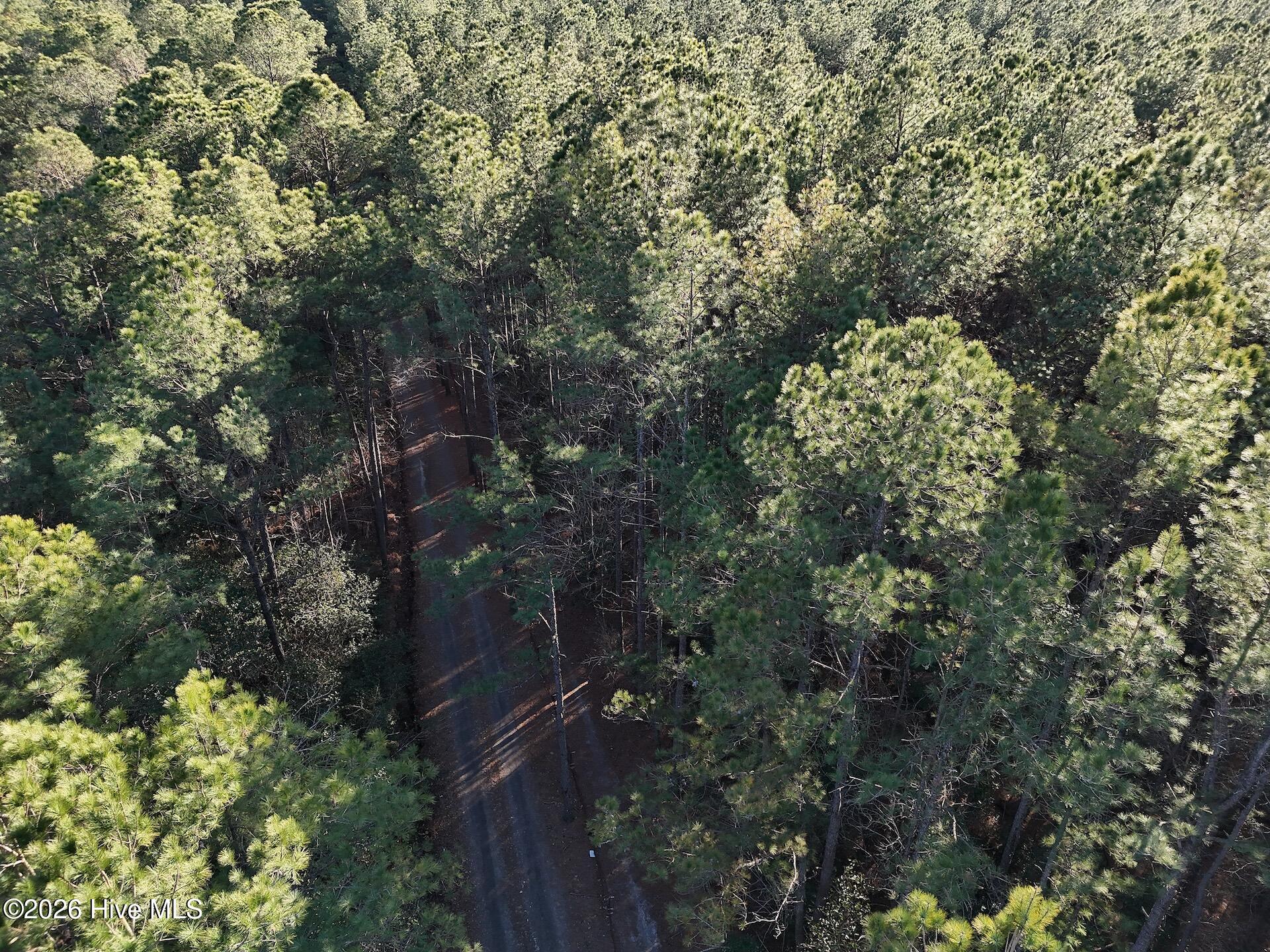 40-acres Haw Branch Road Beulaville, NC 28518 - Photo 10 of 10 dji_fly_20260214_160622_0143_17711033955