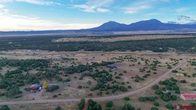 an aerial view of a yard with horses