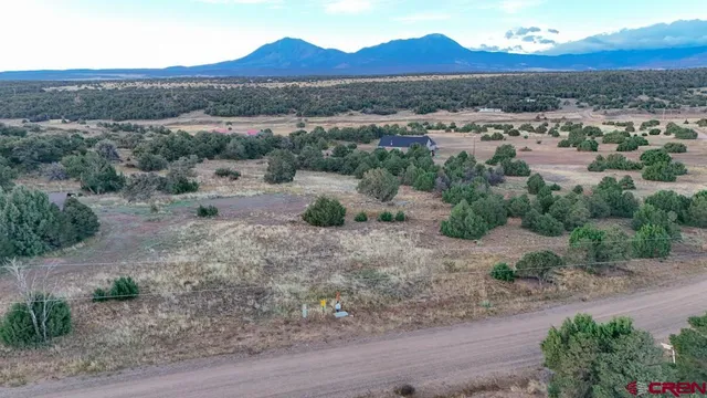 an aerial view of a house with mountain view