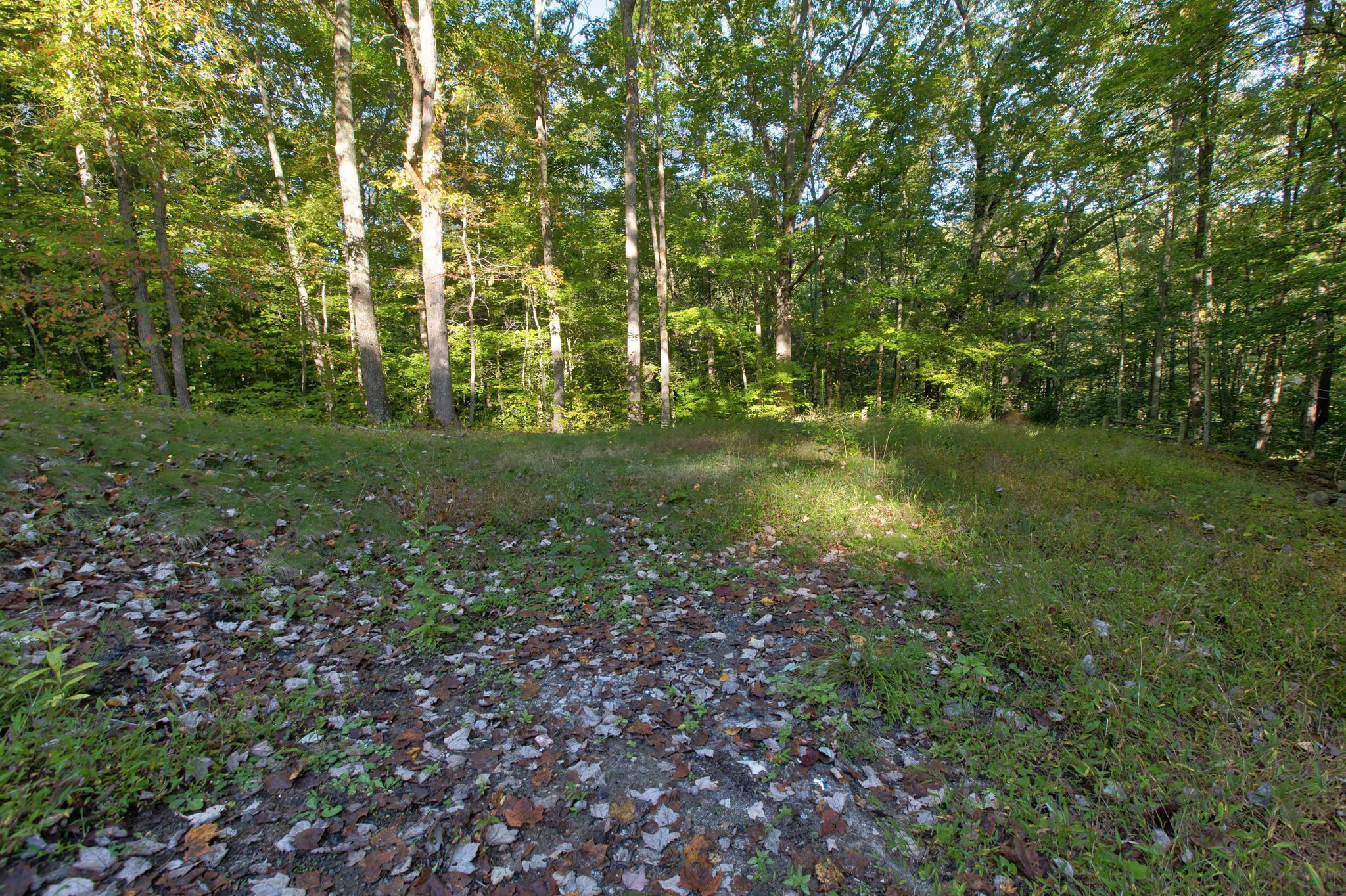 703 Elk Lick Road Olympia, KY 40358 - Photo 31 of 43 PWM29330_1_2