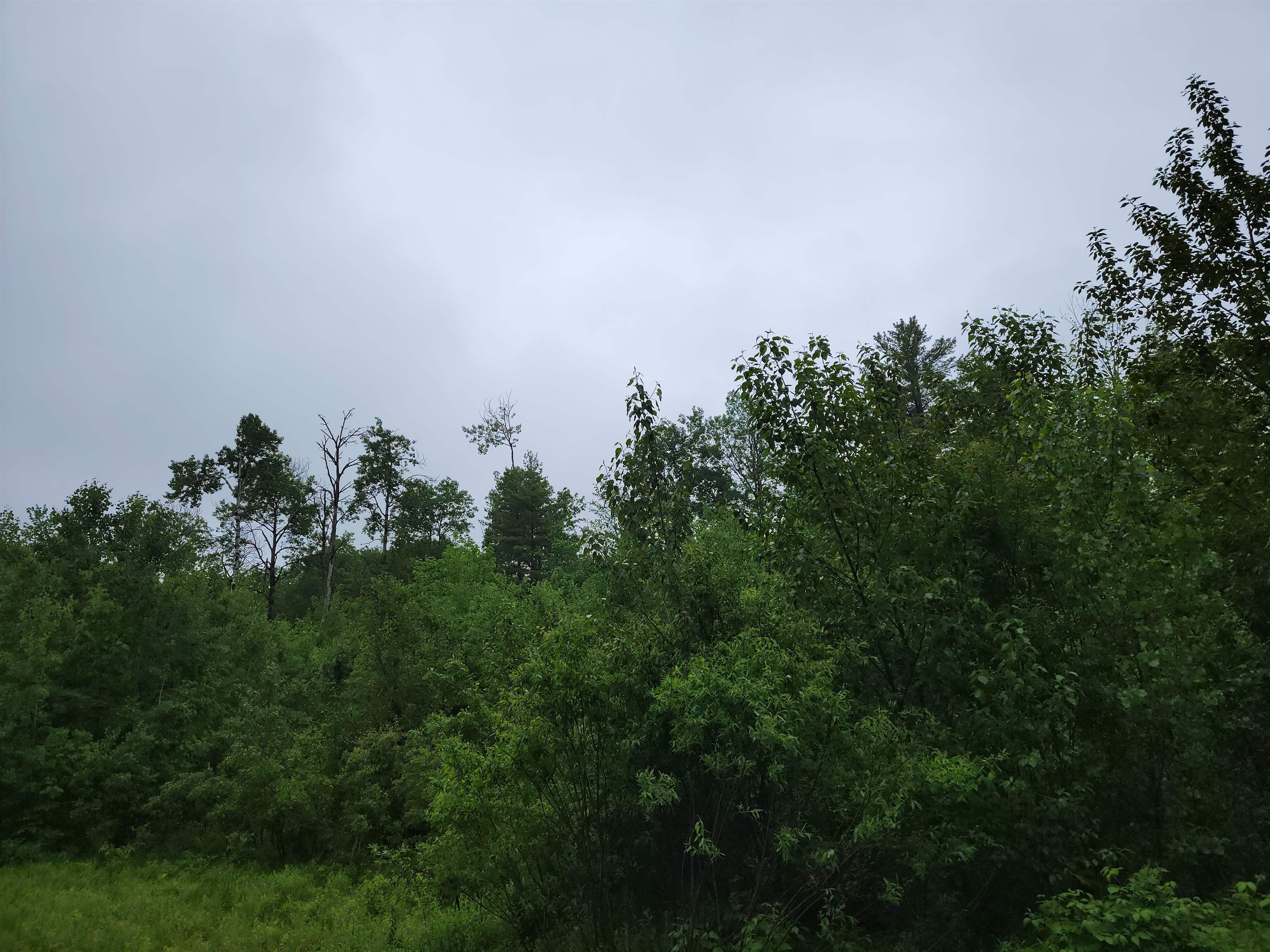 105 Alpenhof Road Bethlehem, NH 03574 - Photo 3 of 7