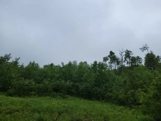 $48,000 | 105 Alpenhof Road, Bethlehem, NH 03574