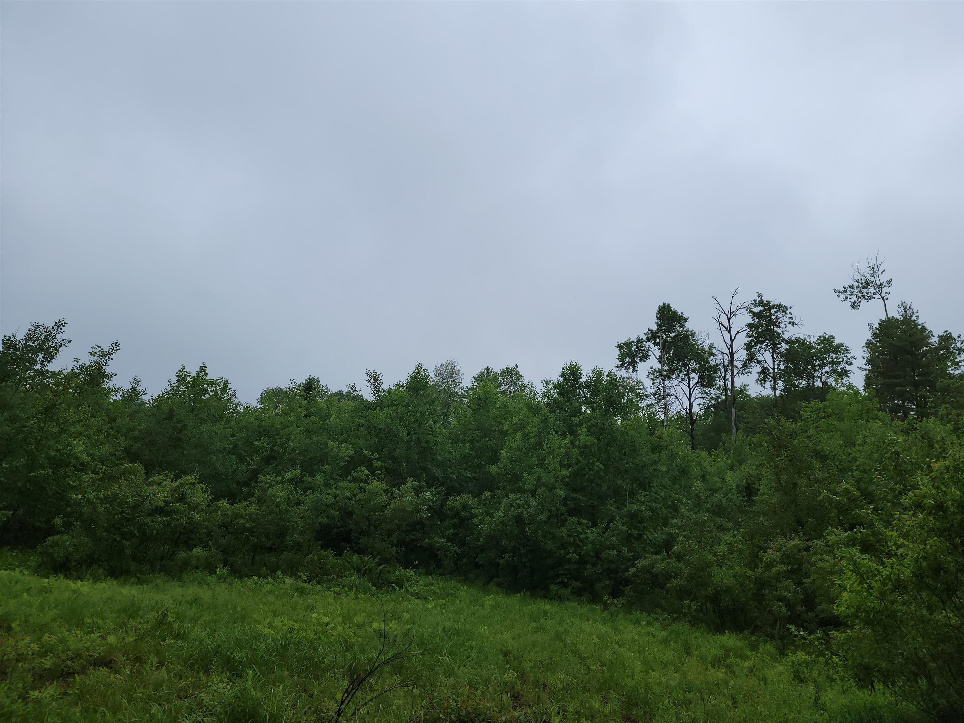 105 Alpenhof Road Bethlehem, NH 03574 - Photo 6 of 7