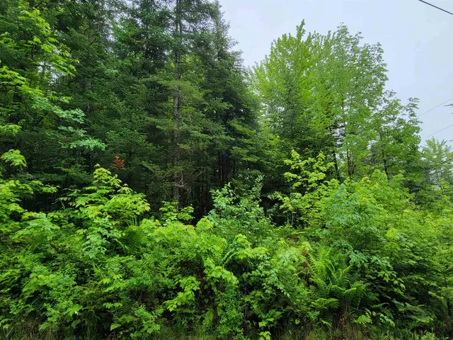 $48,000 | 105 Alpenhof Road, Bethlehem, NH 03574