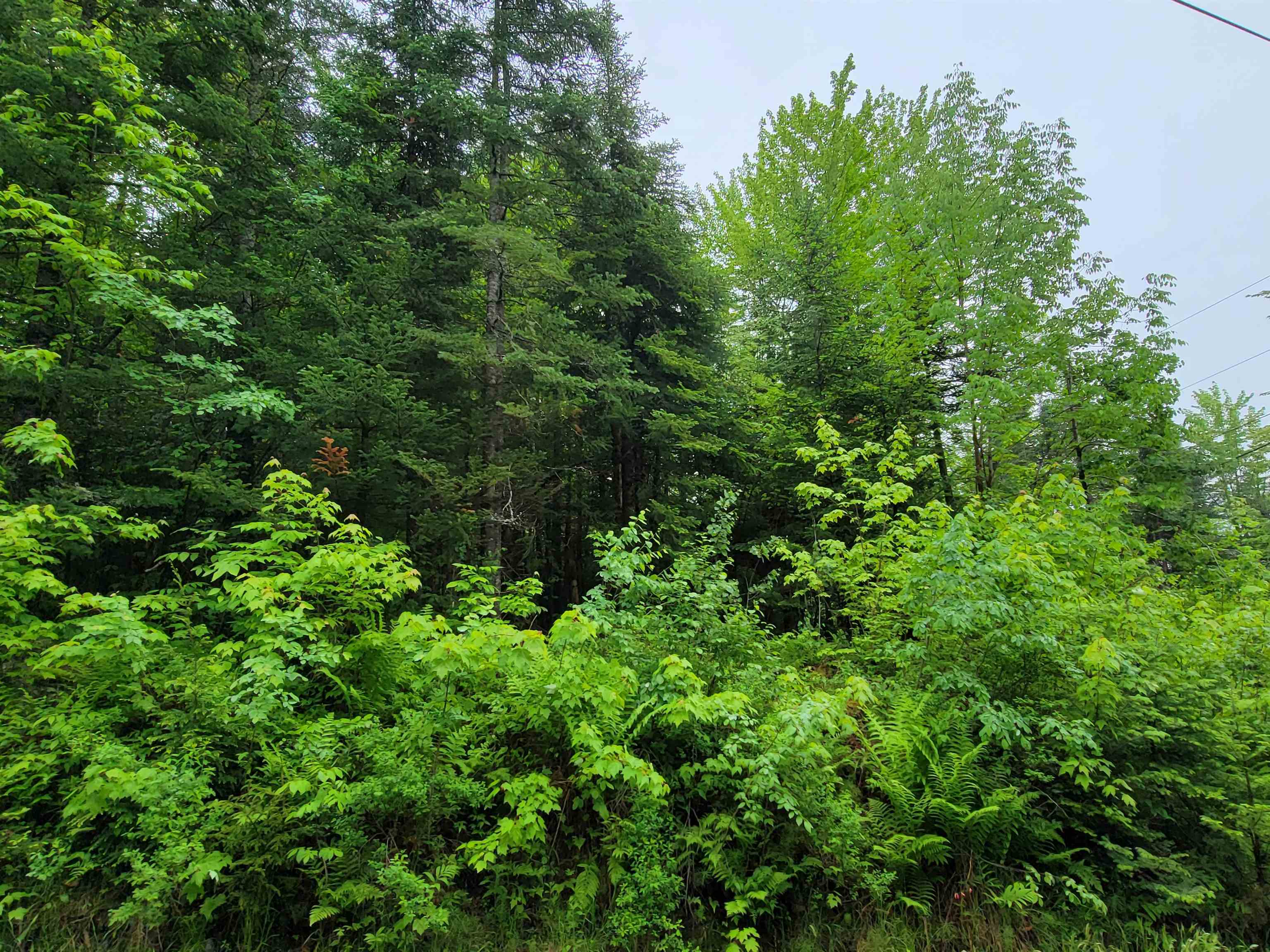 105 Alpenhof Road Bethlehem, NH 03574 - Photo 7 of 7