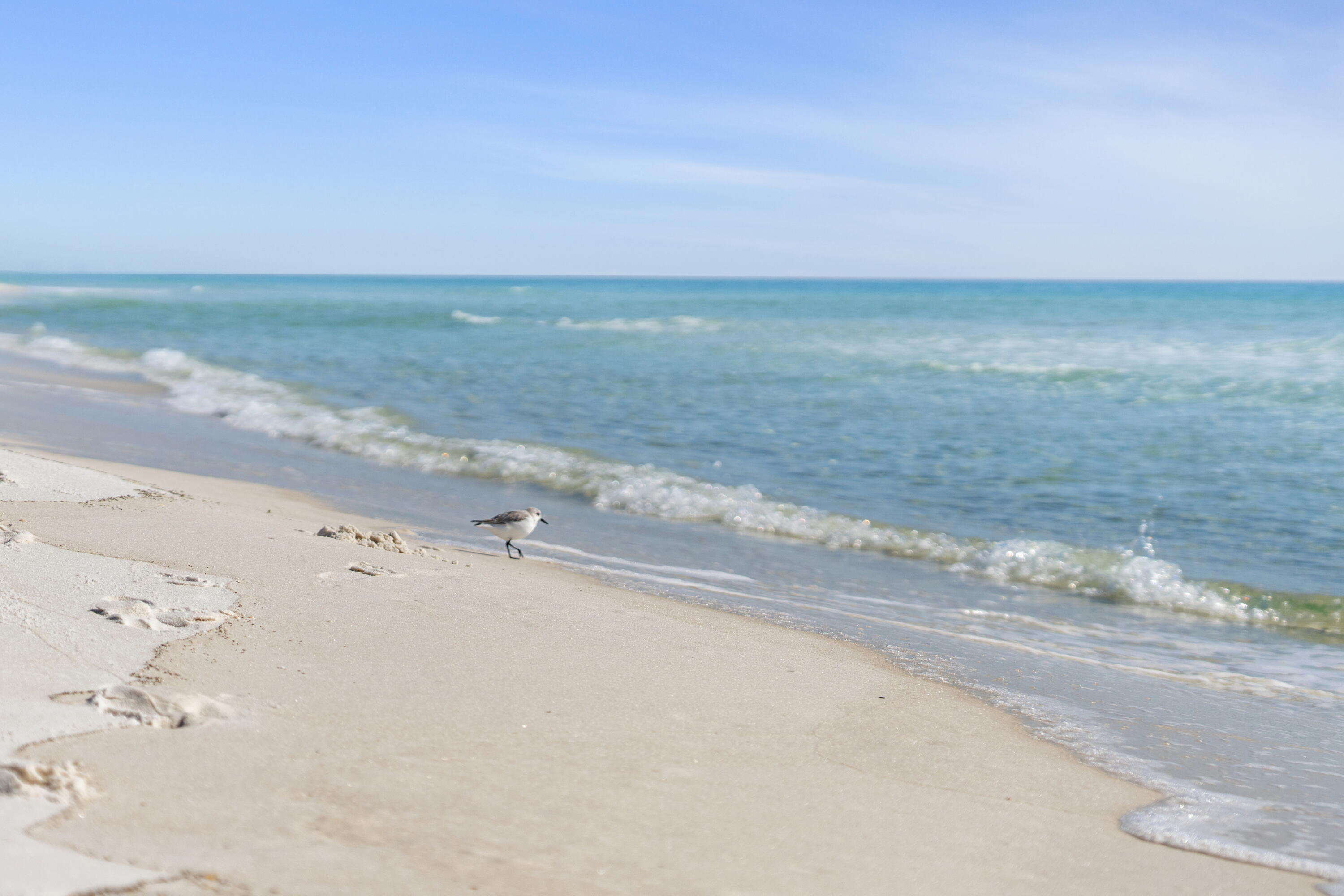 11 Beachside Drive, Unit 912 Santa Rosa Beach, FL 32459 - Photo 57 of 58 an empty room with an ocean view
