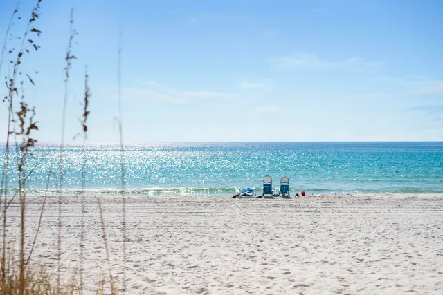 a view of beach and ocean