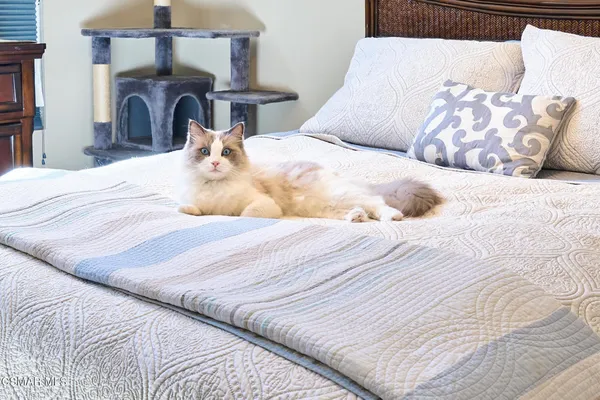 $629,900 | 872 Fitzgerald Avenue, Ventura, CA 93003