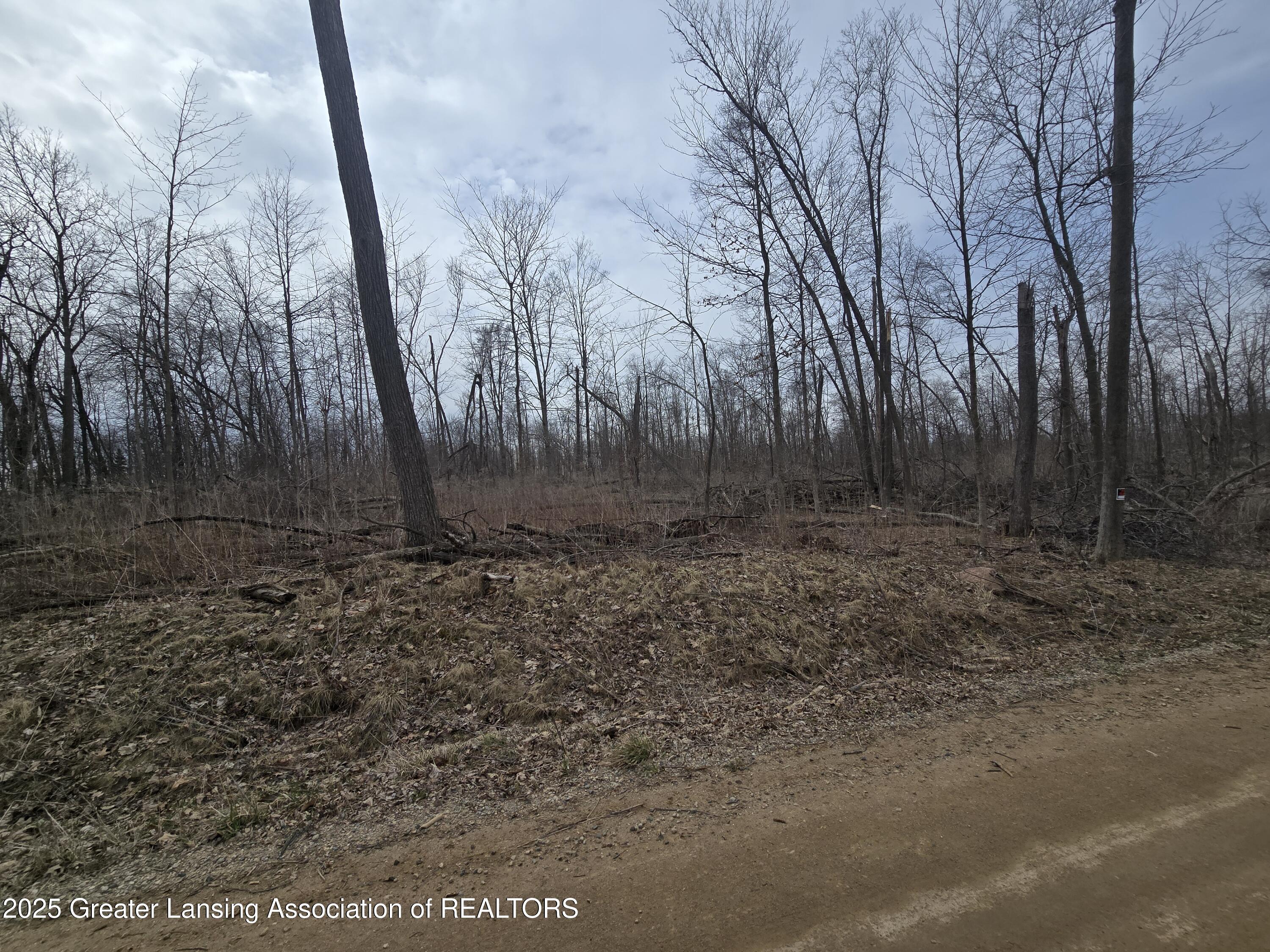 2 West McCrumb Road Eagle, MI 48822 - Photo 3 of 5 1000017766