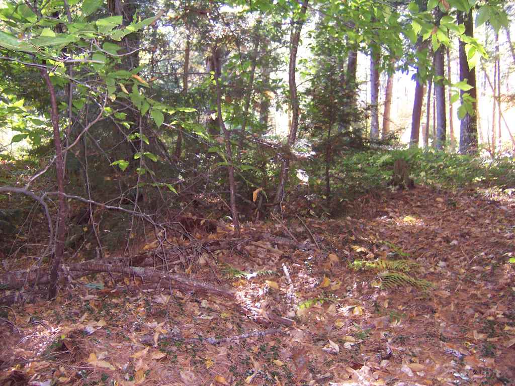 Country Club Road, Unit 46 Bristol, NH 03222 - Photo 2 of 15