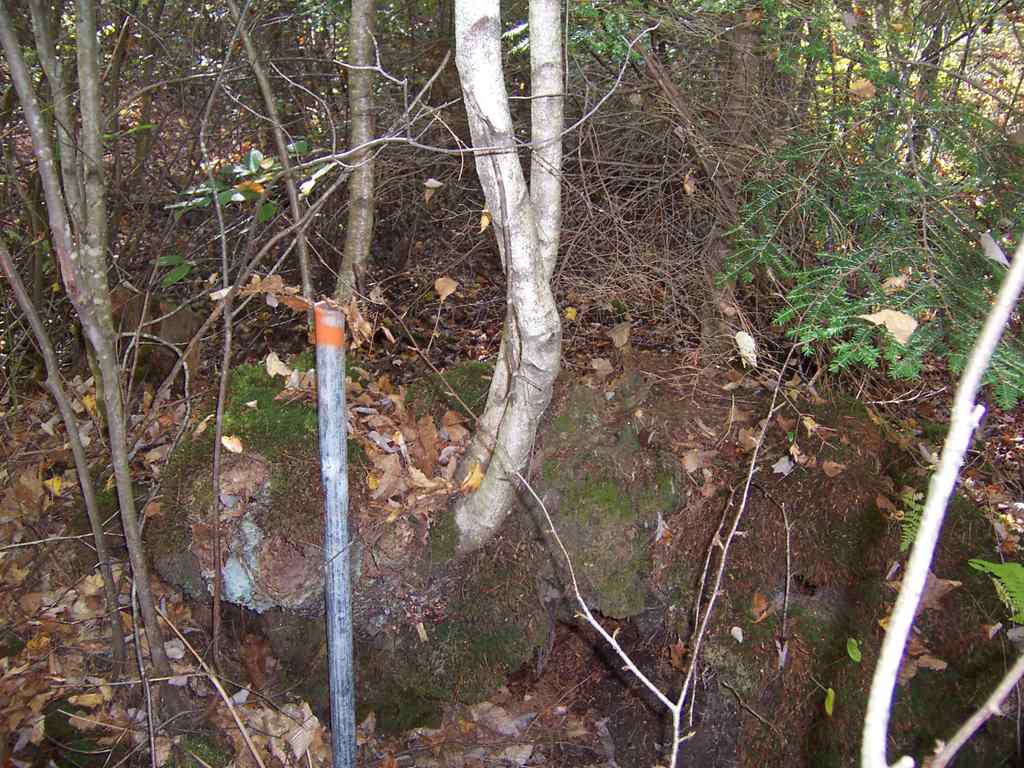 Country Club Road, Unit 46 Bristol, NH 03222 - Photo 12 of 15
