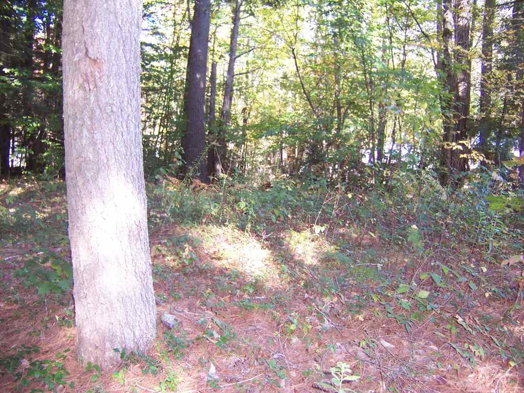 Country Club Road, Unit 46 Bristol, NH 03222 - Photo 3 of 15