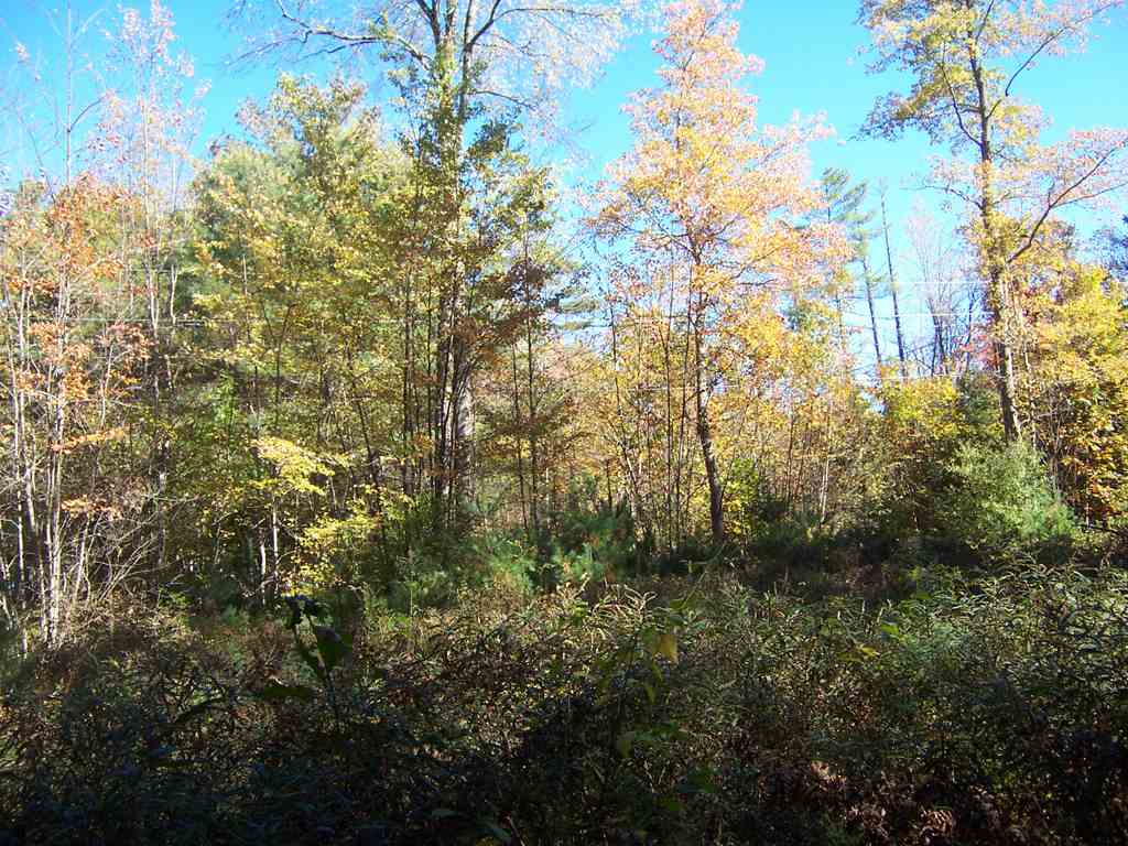 Country Club Road, Unit 46 Bristol, NH 03222 - Photo 4 of 15