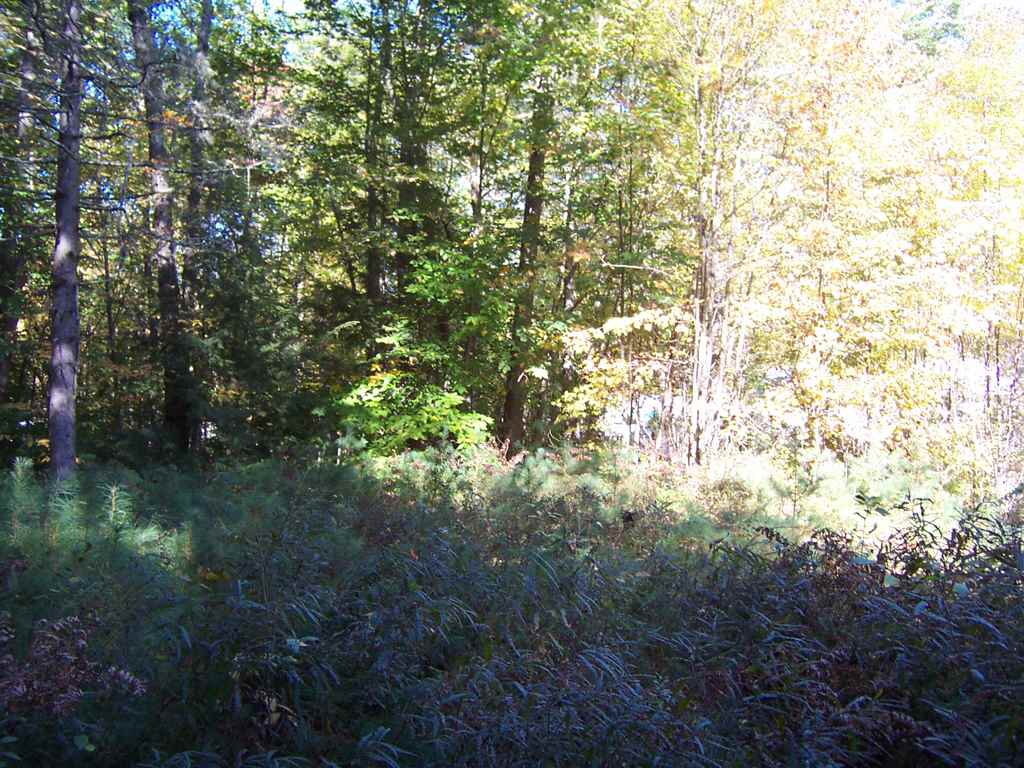 Country Club Road, Unit 46 Bristol, NH 03222 - Photo 5 of 15