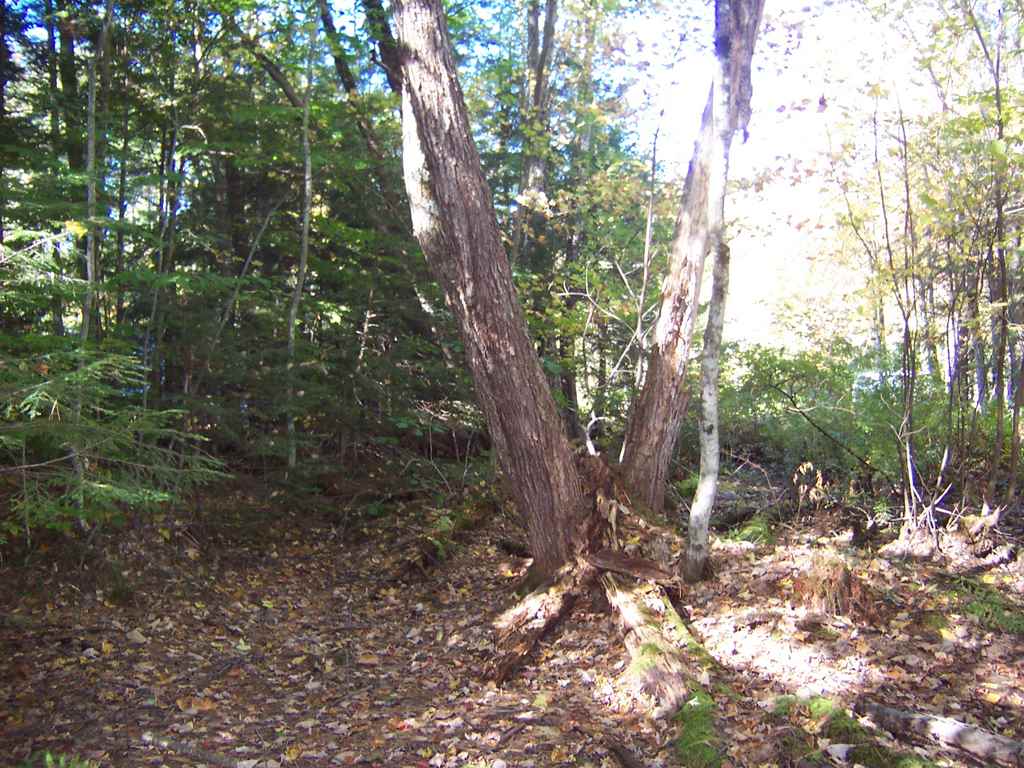 Country Club Road, Unit 46 Bristol, NH 03222 - Photo 7 of 15
