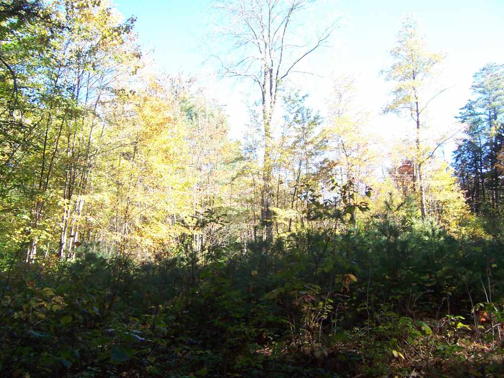 Country Club Road, Unit 46 Bristol, NH 03222 - Photo 8 of 15