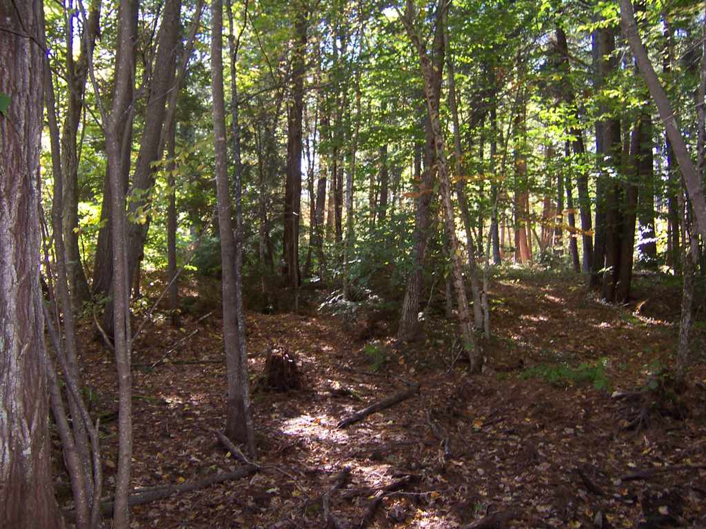 Country Club Road, Unit 46 Bristol, NH 03222 - Photo 9 of 15