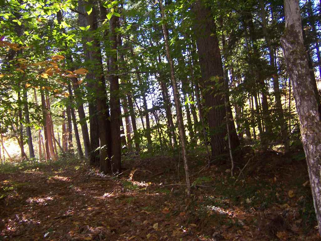 Country Club Road, Unit 46 Bristol, NH 03222 - Photo 10 of 15