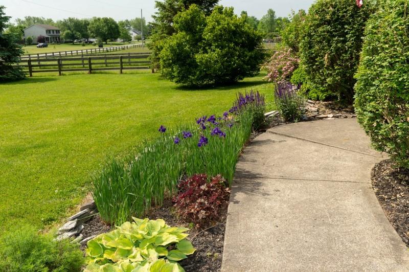 431 Victory Road Springfield, OH 45504 - Photo 3 of 36