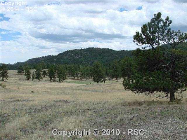 174 Park Ridge Drive Guffey, CO 80820 - Photo 3 of 12 Gallery Image 3