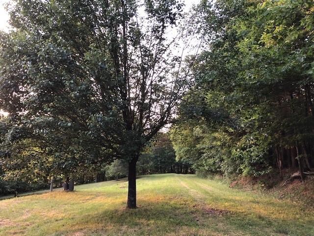 1 Windsor Road Northwest Willis, VA 24380 - Photo 12 of 18 13