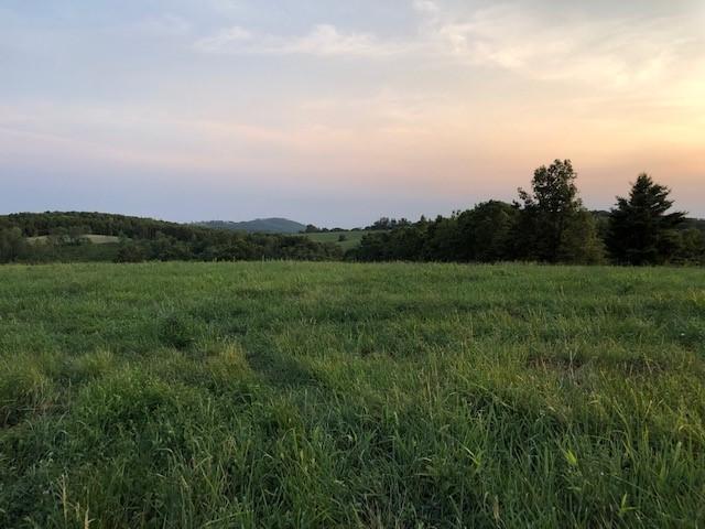 1 Windsor Road Northwest Willis, VA 24380 - Photo 8 of 18 9