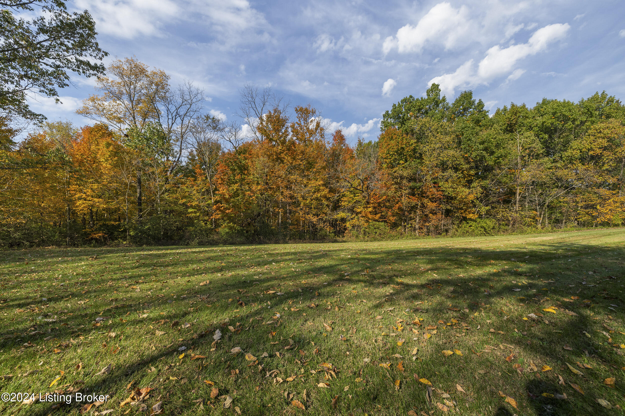 4811 Lake Jericho Road Smithfield, KY 40068 - Photo 8 of 46 4811 Lake Jericho Rd