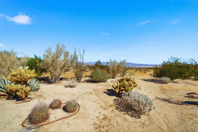 a view of city and mountain